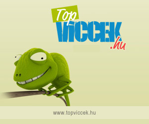 Topviccek 300x250