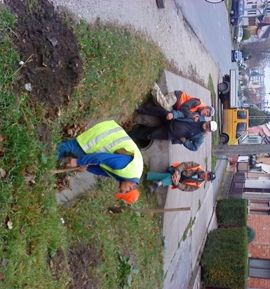 Éljen a munkamegosztás, magyar módra