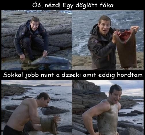 Bear Grylls 