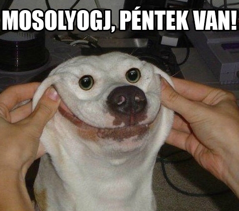 Végre péntek van 🙂