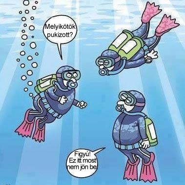 Árulkodó jel . . .