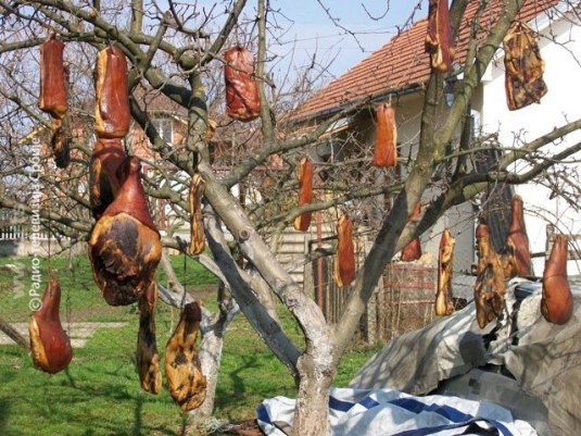 Keresem azt a kertészt aki át tudná oltani almafámat ilyenre :