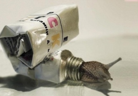 Elvitte a bank a házam, de valahol lakni kell