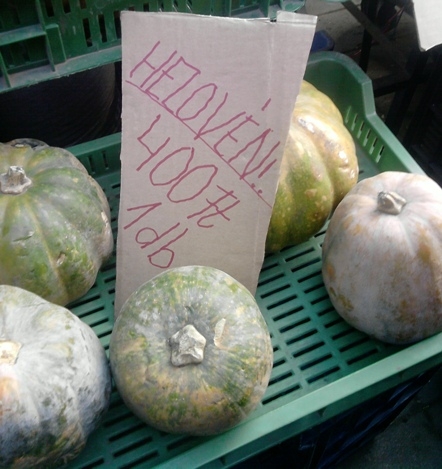 Miskolcon már készülnek a HELOVÉN-re