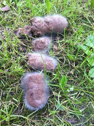 Lehűlt a levegő . . .