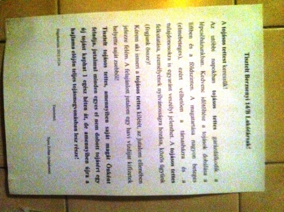 Keresik a tojásos tettest 🙂