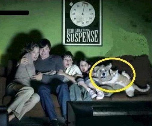 Esti program - családi horrorfilm nézés