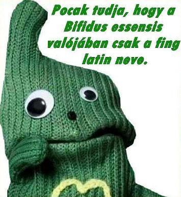 2013-ra ez is kiderült 🙂