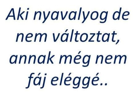 Az igazmondó juhász üzeni !