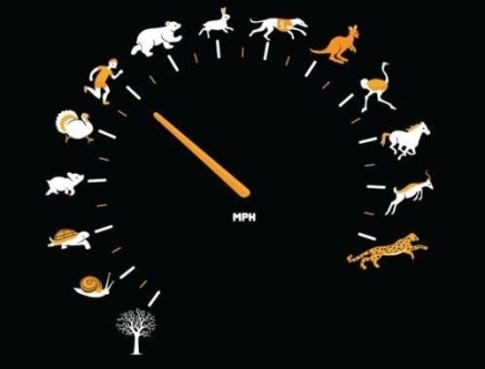 Napi kreatív - kilóméteróra kicsit máskép