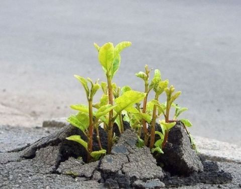 Hivatalosan is...Tavasz van !!!