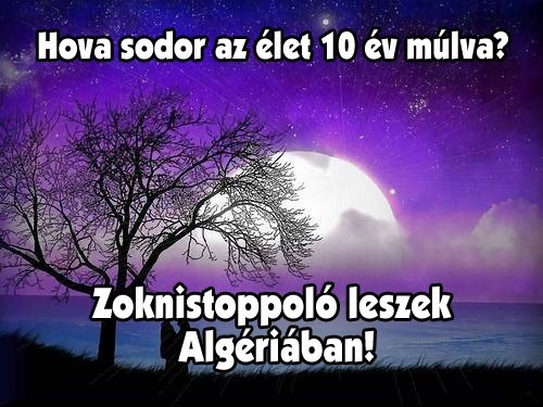 Szép kilátások :P