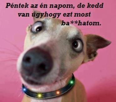 Messze még a hétvége