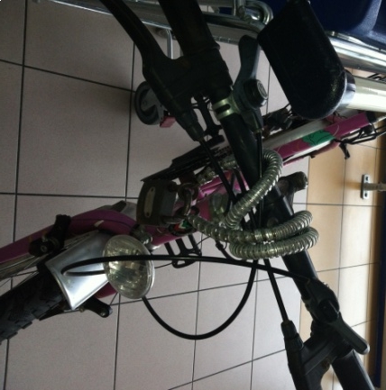 Eközben a szombathelyi tacskónál