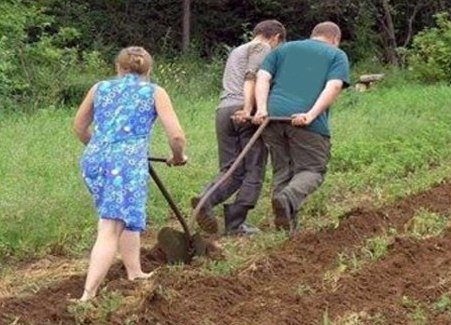 Már folynak a tavaszi munkálatok