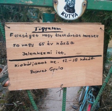 Gyula bá csajozna . . .