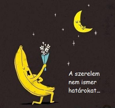 A bizonyíték - a szerelem elvakít