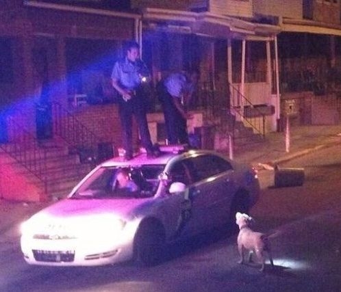 Szolgálunk és védünk