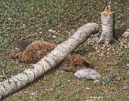 Hétfő - veszélyes egy nap