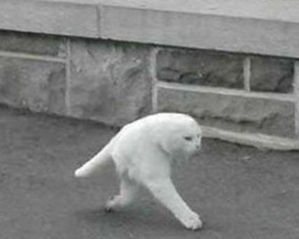 Eközben Csernobilban