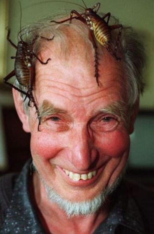 Kicsit bogaras vagyok, nem tagadom