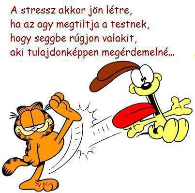 Napi stresszoldó
