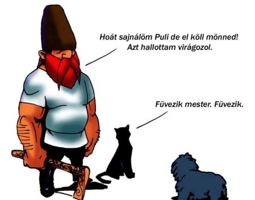 Szigor - Egy slukk, két év