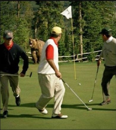 Hogyan lett a golf sportág...