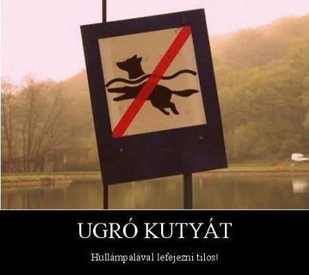 Egy kis tájékoztató