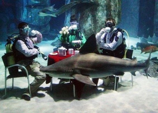 Délutáni teázás - extrém változat