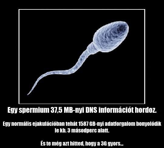 Napi továbbképzés