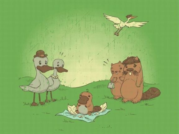 Most akkor ki a hunyó?