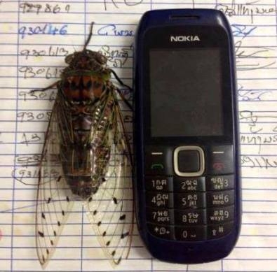 Eközben Csernobilban . . . 