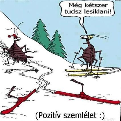 Ténymegállapítás