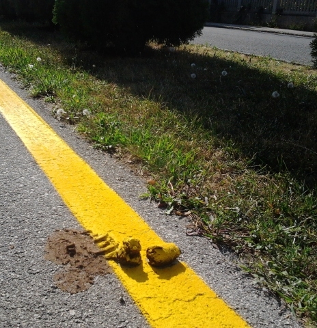 Veszprémben a sárga a menő  . . .