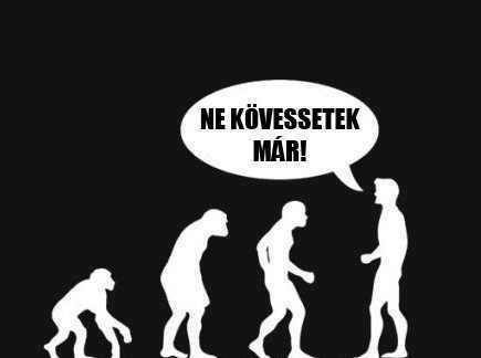 Evolúció...