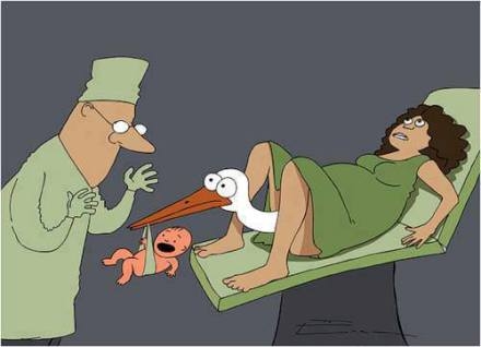 Na ugye, hogy a gólya hozza!