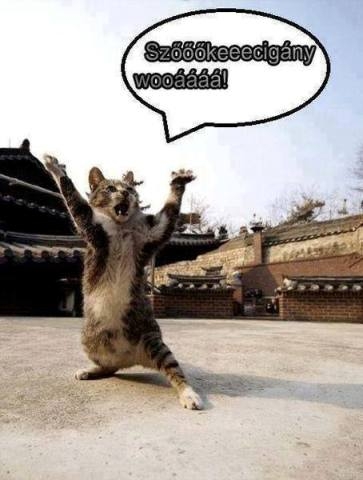 Vasárnapi hangulatban