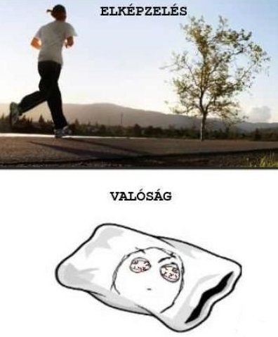 Elhatároztam, hogy reggelenként futni fogok