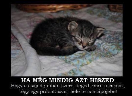 Ha Neked bizonyíték kell, nem ígéret...