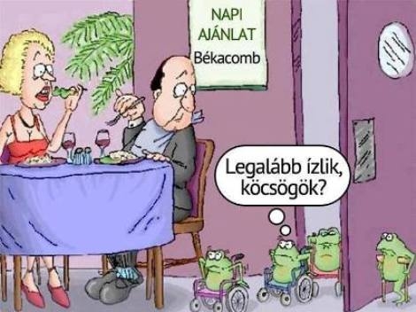 A mai menü - békacomb