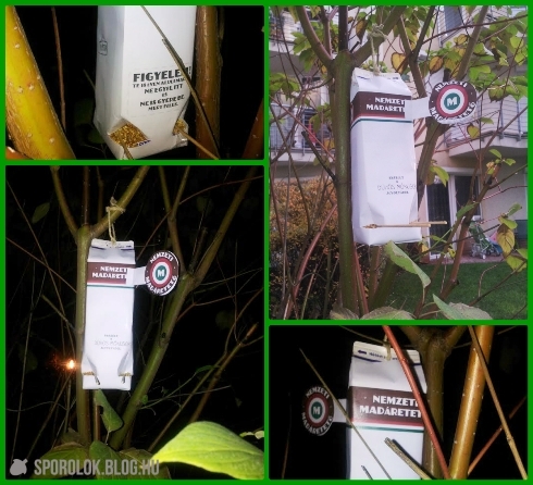 Nemzeti Madáretető