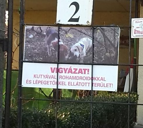 Eközben Debrecenben