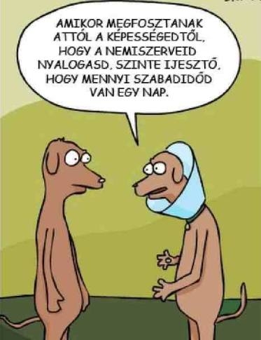 Vasárnapi tényfeltáró