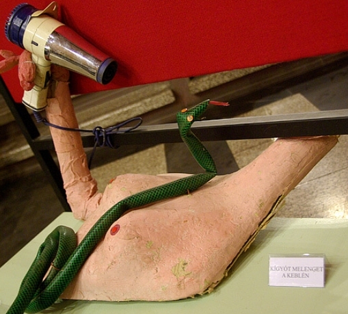 Kígyót melenget a keblén . . .