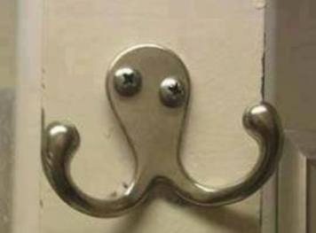 Egy fotó a részeg polipról, aki bunyózni akar