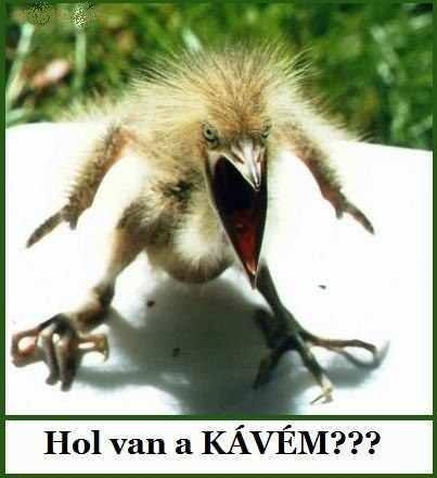 Ébrednek a party arcok...