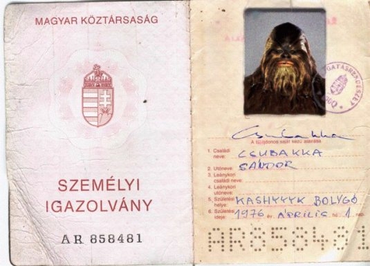 Csubakka Sanyi