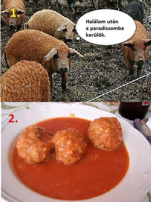 Van akinek teljesül a kívánsága