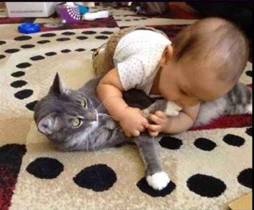 A macskanyelvet szeretem...